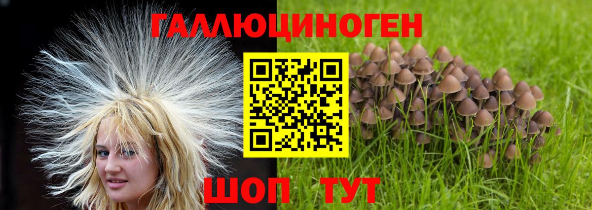 Псилоцибиновые грибы GOLDEN TEACHER Тихвин