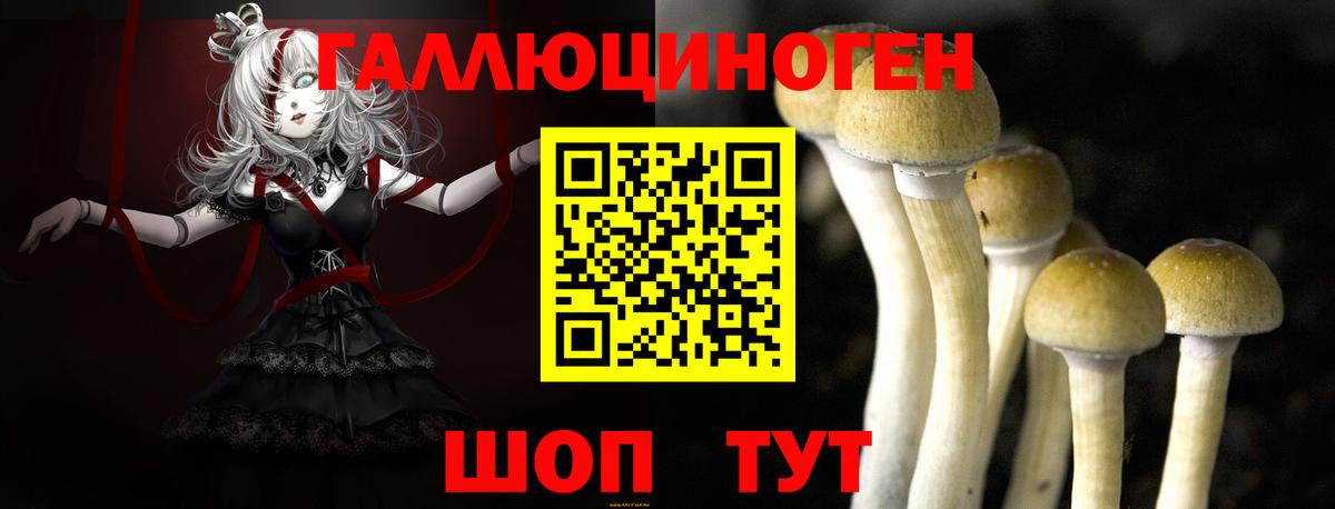Тихвин  Галлюциногенные грибы мицелий  Псилоцибиновые грибы MAGIC MUSHROOMS  Вход с VPN 